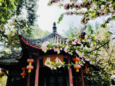 [美好速記]＋那年春日