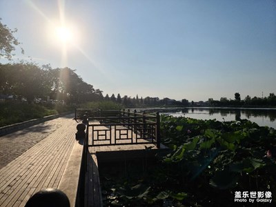 隨手一拍