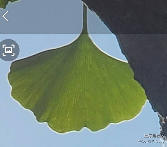 能否優(yōu)化一下note20U拍照或者錄像時(shí)不要再描邊了，點(diǎn)開有圖