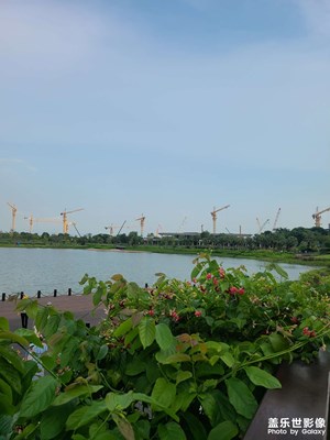 機(jī)械美