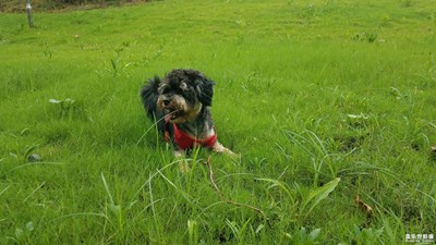 【美好速記】+隨手為之