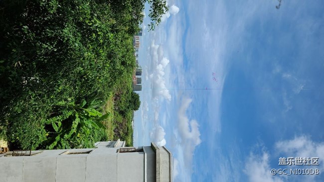 s20u拍照出現(xiàn)紅點(diǎn)和紅線，求教原因？