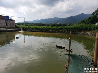 【天下秋】+ 天氣漸漸轉(zhuǎn)涼了