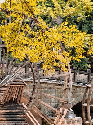 【天下秋】+今年四川入秋的很順利