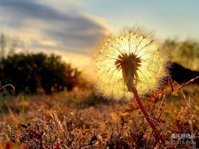 人逢喜事精神爽，夕陽無限秋意濃。