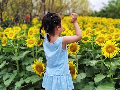 【天下秋】+廈門的秋天