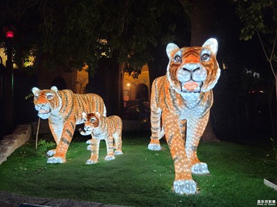 夜色小可愛(ài)