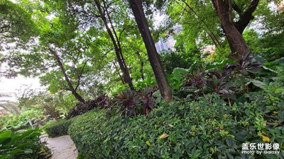 我拍照技術(shù)不好，隨手拍的，見笑。