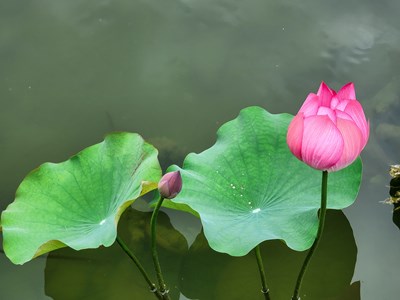 【天下秋】＋夏末秋初