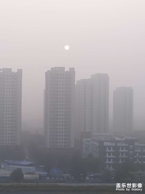 【天下秋】朝陽