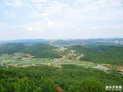 綠色山野