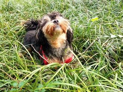 【假日麗影】+小七月的假日游玩