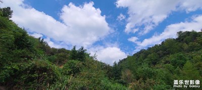 綠水青??