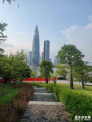 深圳灣