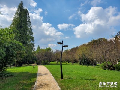 三星拍照好??