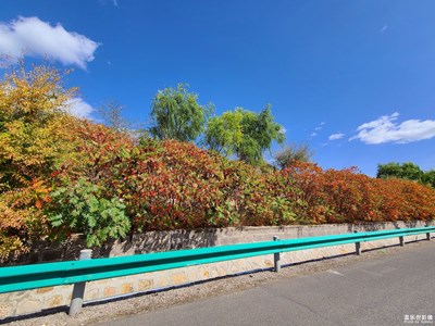 【假日麗影】+在路上