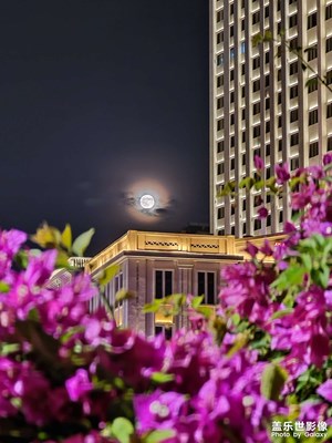 月圓之夜