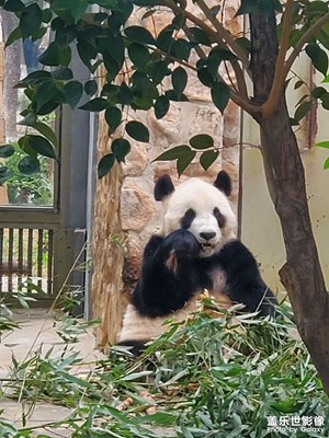 濟南動物園