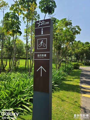 打卡深圳網紅公園