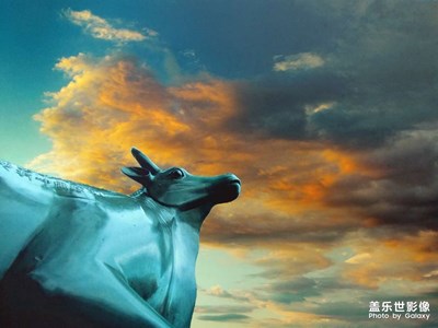 你眼中的頤和園