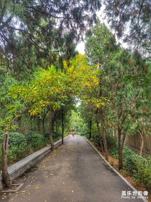 秋天的味道
