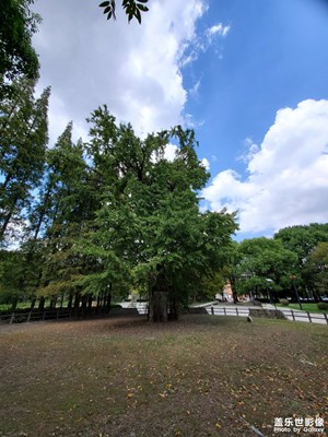 【我生活的地方】+家園美景