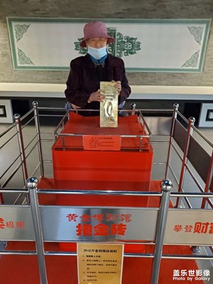 抱金磚