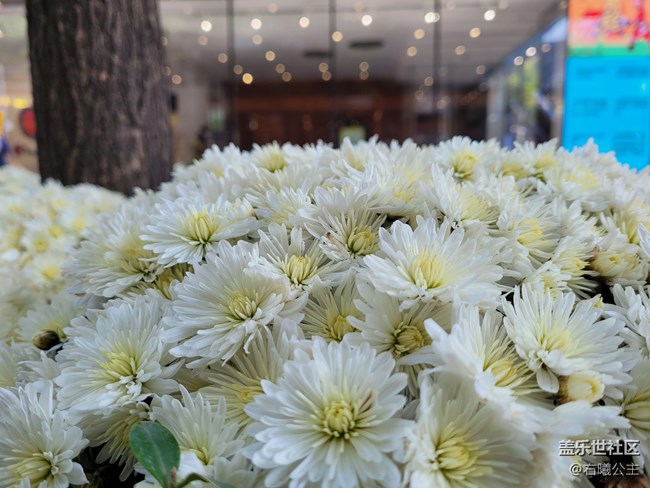 你想要的它都有！三星Galaxy S20 FE 5G評測