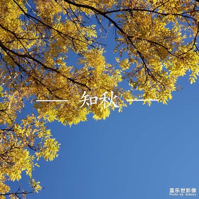 【我生活的地方】+冷秋