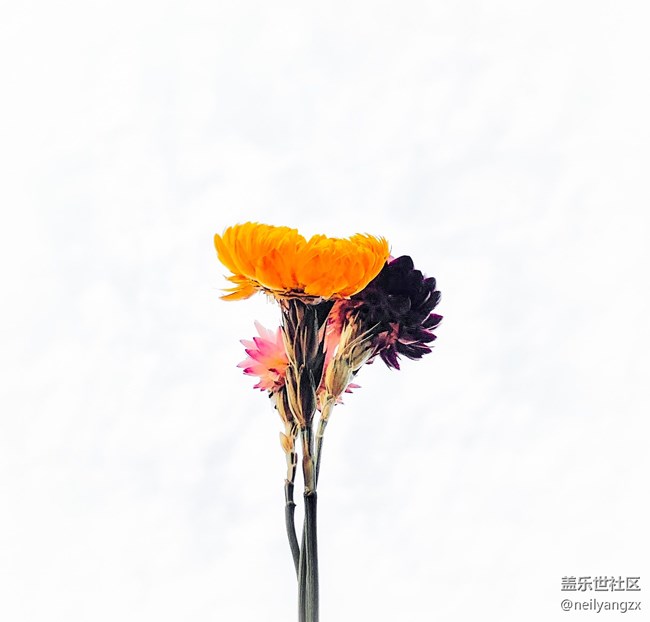 把未來折起放手上(Samsungalaxy Z Fold2 5G上手半月體驗) 把未來折起放手上(Samsungalaxy Z Fold2 5G上手半月體驗)