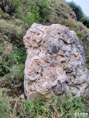 唐，李淳風(fēng)，袁天罡陵