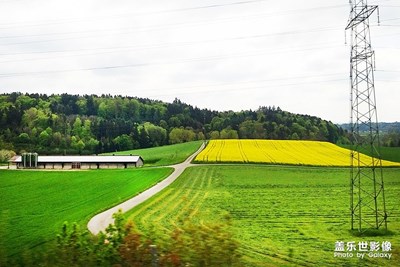 路邊的田園風(fēng)光