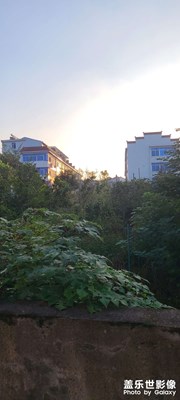 早安