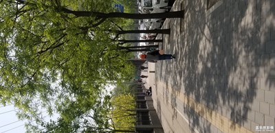 【我生活的地方】大北京的生活