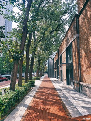 已開獎【蓋樂世形象周賽第163期】花花世界