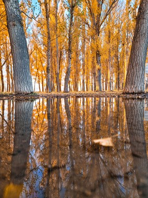 【多彩深秋】+敦煌的秋