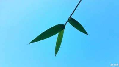 【多彩深秋】+琥珀潭