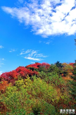 九如山紅葉
