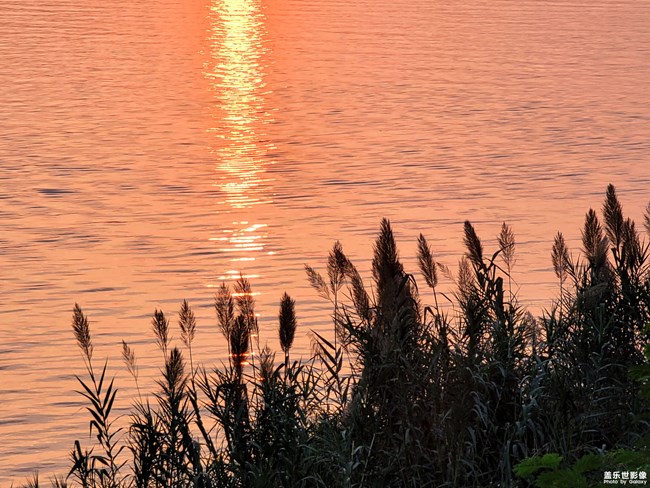 《每周星鮮事》第46期: 星粉體驗(yàn)團(tuán), 等你來參與!