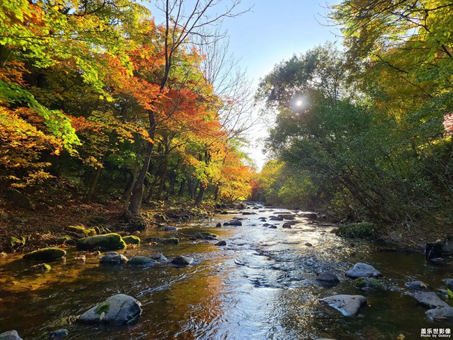 《每周星鮮事》第46期: 星粉體驗(yàn)團(tuán), 等你來參與! 《每周星鮮事》第46期: 星粉體驗(yàn)團(tuán), 等你來參與!