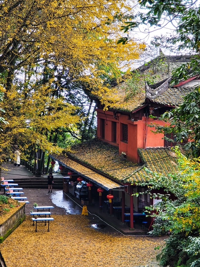 《每周星鮮事》第46期: 星粉體驗(yàn)團(tuán), 等你來參與! 《每周星鮮事》第46期: 星粉體驗(yàn)團(tuán), 等你來參與!