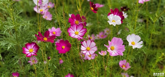 《每周星鮮事》第46期: 星粉體驗(yàn)團(tuán), 等你來參與! 《每周星鮮事》第46期: 星粉體驗(yàn)團(tuán), 等你來參與!