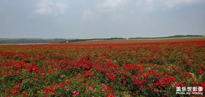 【花花世界】+邊走邊拍