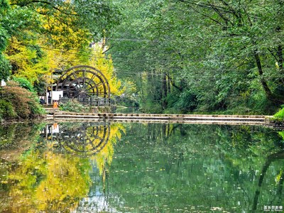 【花花世界】＋秋的影子