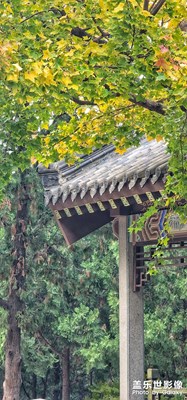 深秋