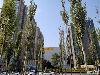 花花世界