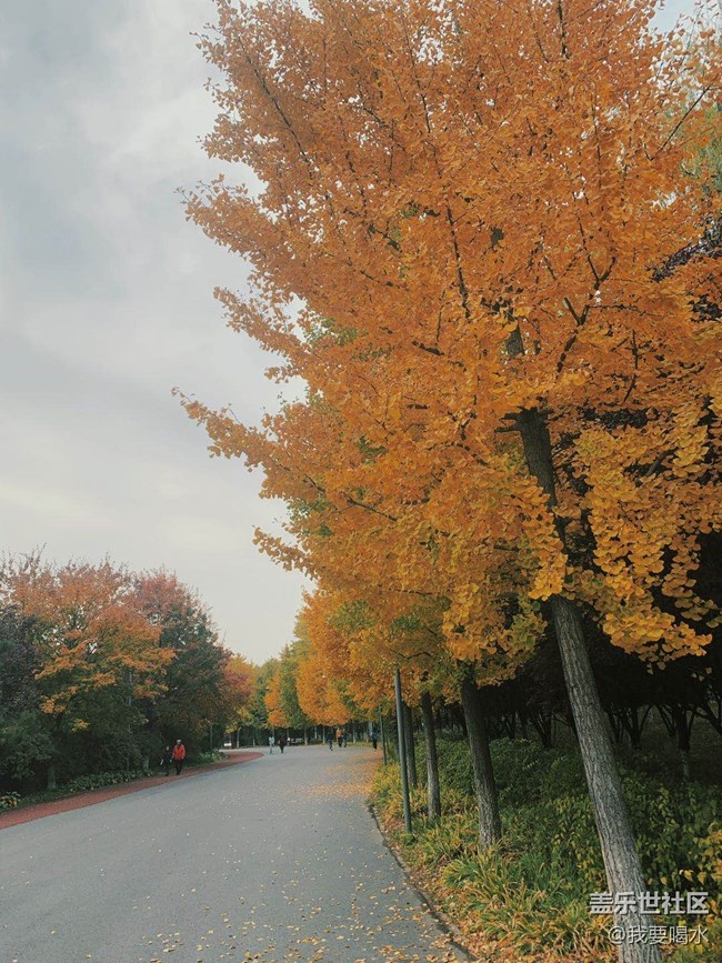 【萬圣之夜】哪有什么萬圣節(jié)啊 我們都是在西安過音樂節(jié)的啊