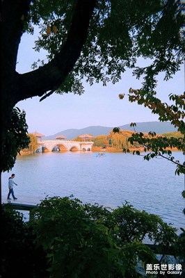 【花花世界】+  秋，云龍湖