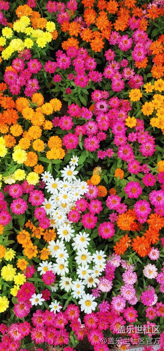 《每周星鮮事》第46期: 星粉體驗(yàn)團(tuán), 等你來參與! 《每周星鮮事》第46期: 星粉體驗(yàn)團(tuán), 等你來參與!