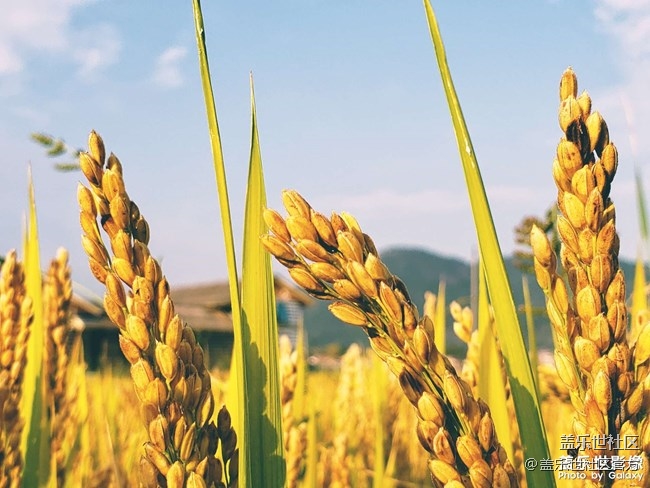 《每周星鮮事》第46期: 星粉體驗(yàn)團(tuán), 等你來參與! 《每周星鮮事》第46期: 星粉體驗(yàn)團(tuán), 等你來參與!